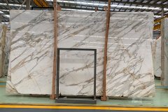 Calacatta Marble - Calacatta Marble 01