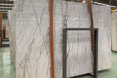 Calacatta Marble - Calacatta Marble 03